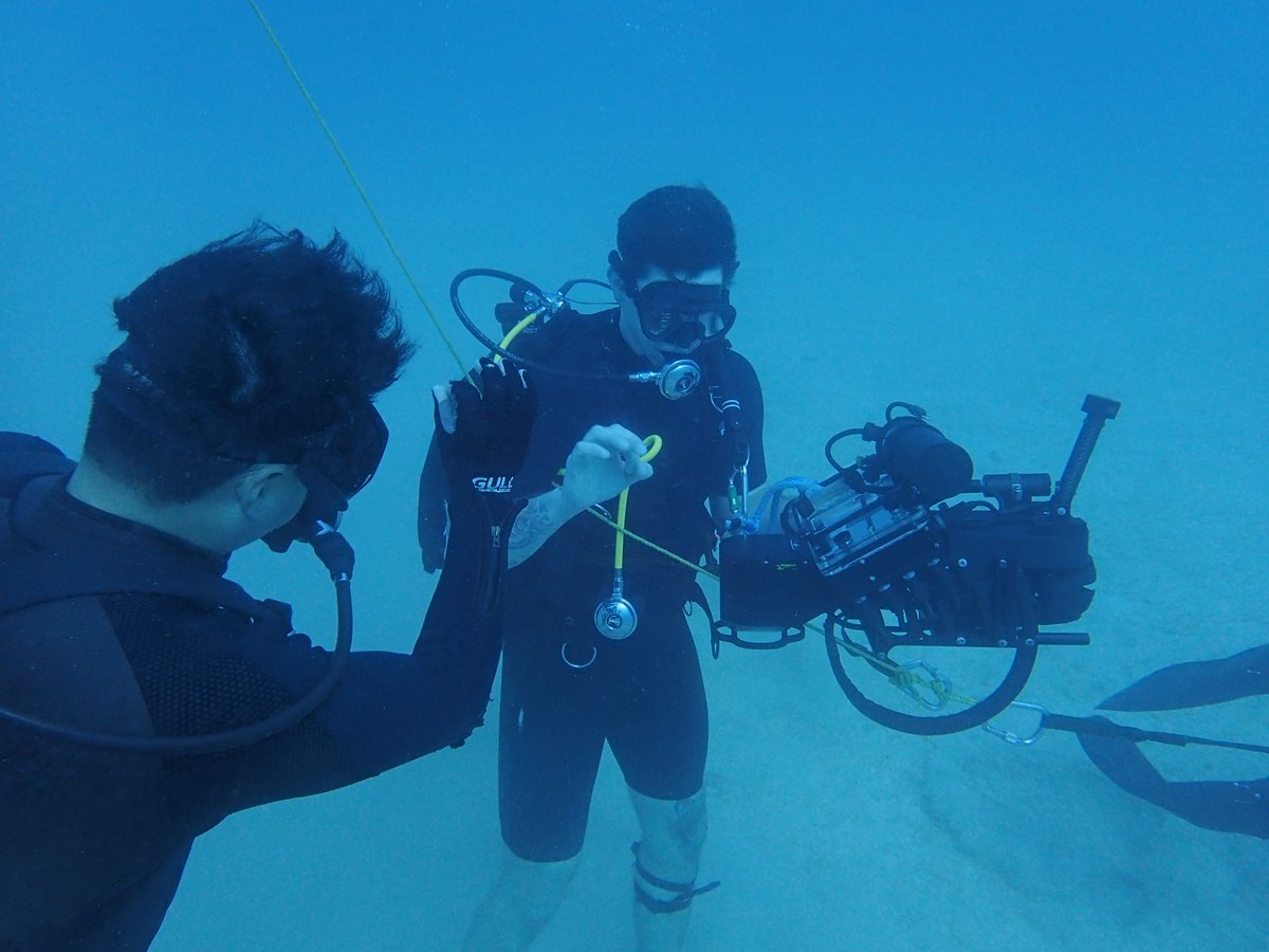 海上自衛隊　沖縄基地隊【公式】 tweet media