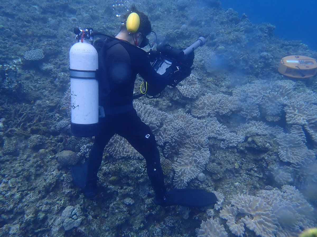 海上自衛隊　沖縄基地隊【公式】 tweet media