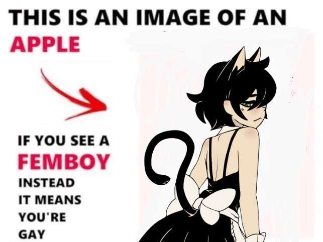 Femboy Firearms tweet media