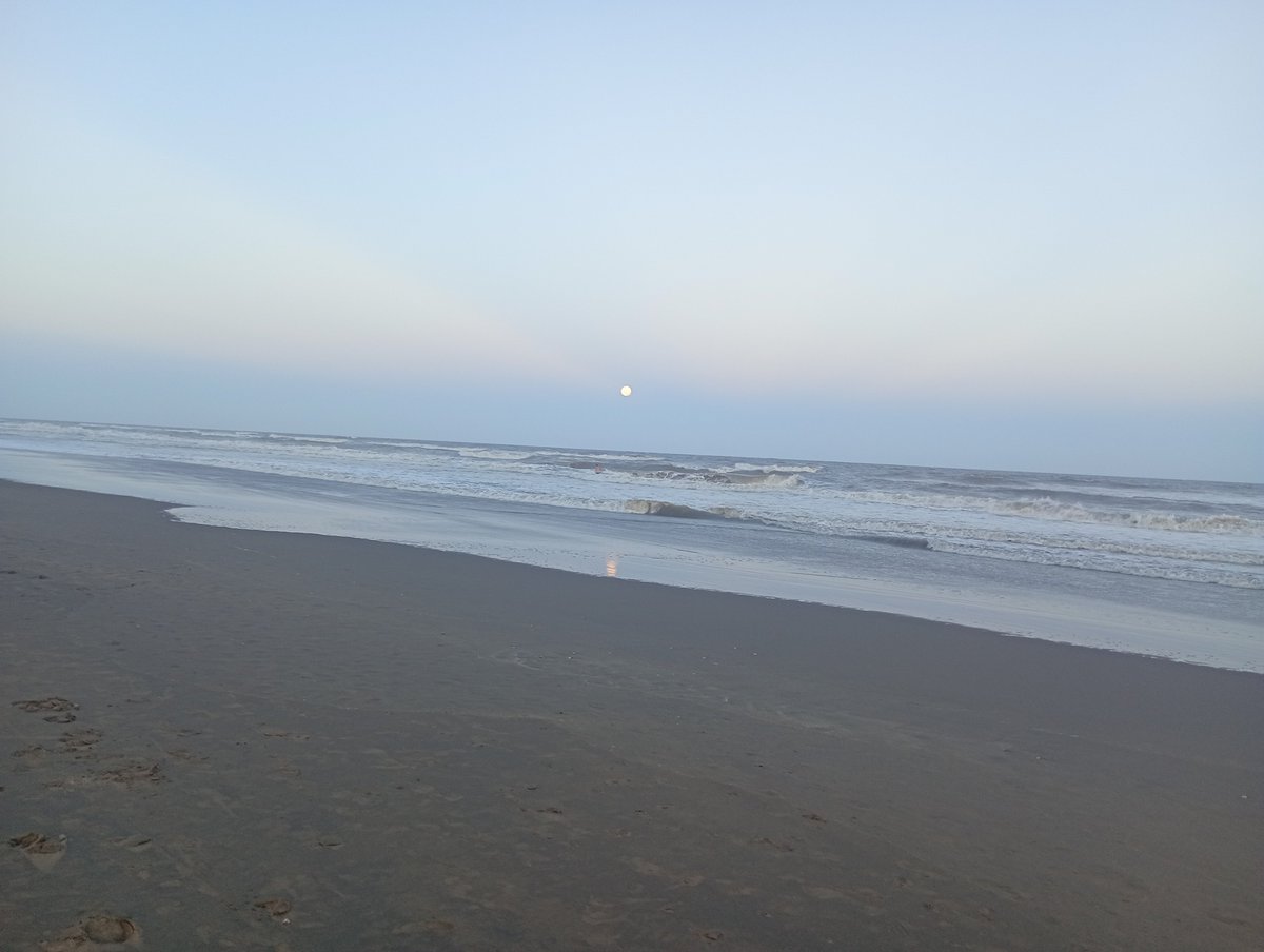 Ro1984Ro's tweet photo. "Cuando vuelva al mar
y me hunda en el sonido metálico
que atraviesa el silencio
bajo el agua
... y me abandone
al vaivén azul
y sea otra vez
El pez que fuí..."

Volver al mar... 🌊🐚

✏️Jorgelina Soulet https://t.co/whA7uILKsO