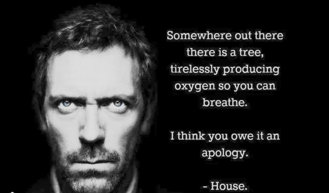 𝙶𝚊𝚕𝚕𝚊𝚐𝚑𝚎𝚛 🌻 tweet media