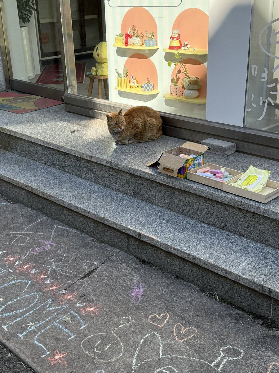 몽실 빵아지가 도토리 상점에 입고되었습니다…!
모자랐던 하얀 뵤햄이들도 재입고 완료예요,,  많은 관심 감사합니다 ..! ( ᐪ ꒳ ᐪ ) 사장님이 전보다 더 다양하게 상품 준비하셨더라구요! 근러 예쁜 카페들 들르시면서 꼭 한번 방문해보세요,, ♡ 

대전 서구 탄방동 1209, 1층 도토리상점