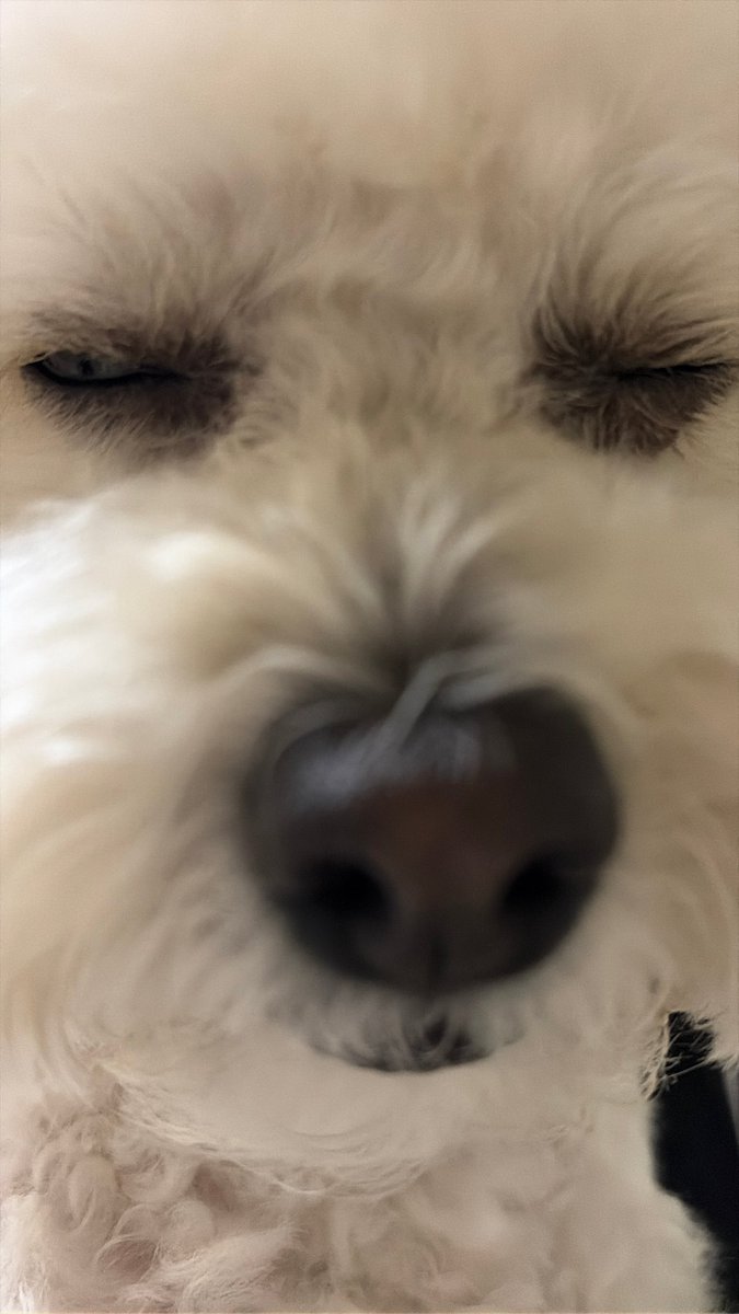 260308
🦖💙 1st Row Fancam of Badu when he is dozing off💙
#CIX #씨아이엑스 #BX #BYOUNGGON #병곤 #Fromm