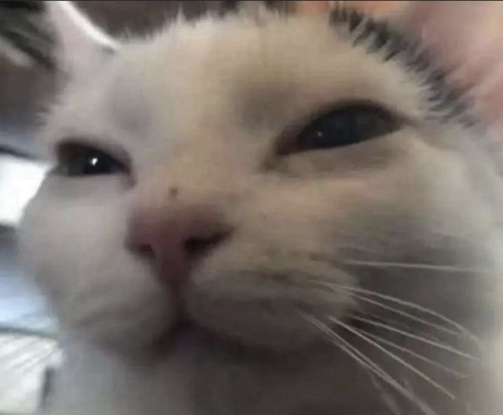 ๐๐๐ ๐๐๐
๐๐๐๐๐ ๐๐๐๐๐ tweet media