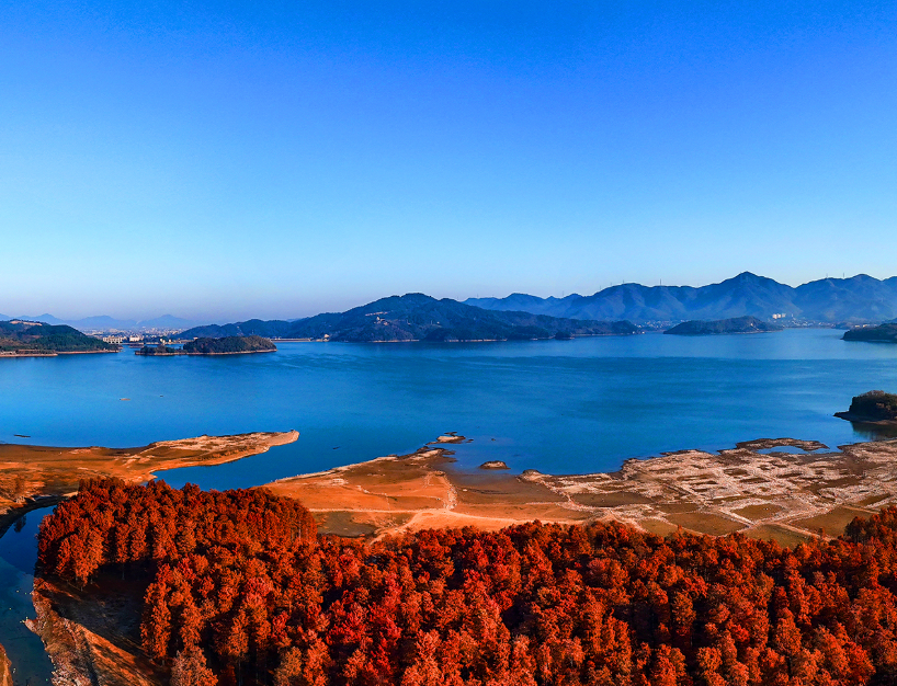 i_yuyao's tweet photo. Aerial view of Yuyao's Siming Lake: Vibrant metasequoia forests in the foreground create a stunning contrast with the tranquil blue lake and distant mountains. A true masterpiece of nature! πποΈ #Yuyao #SimingLake #NaturePhotography https://t.co/1RhcwsDesf