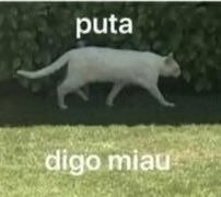 MaryBlog tweet media