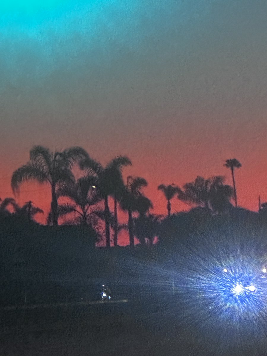 NKaravedas's tweet image. After dinner walk.....😎🌴🌴☀️#Huntington