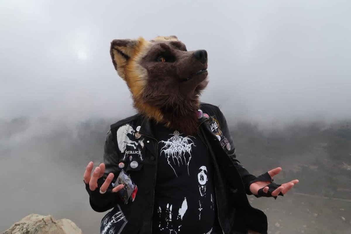 𝔓𝔞𝔫𝔷𝔢𝔯 tweet media