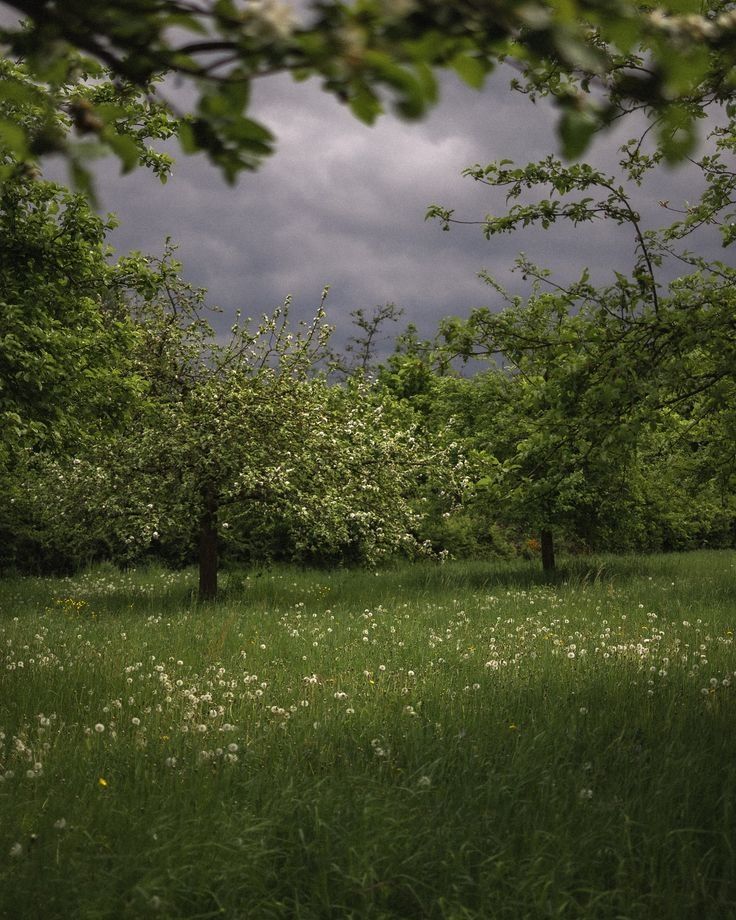 elemmiressoul's tweet image. cloudy weather.