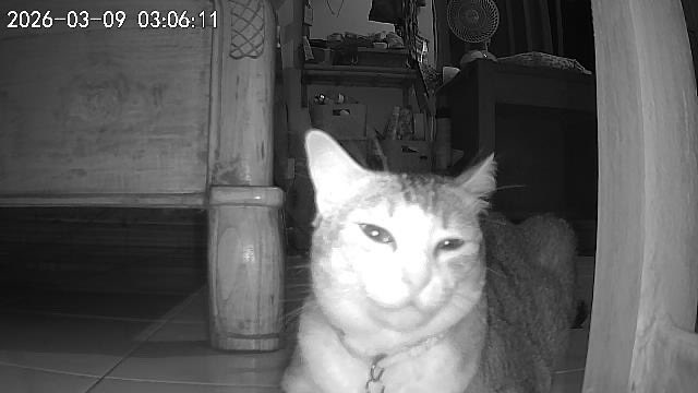 theia 🌼 tweet media