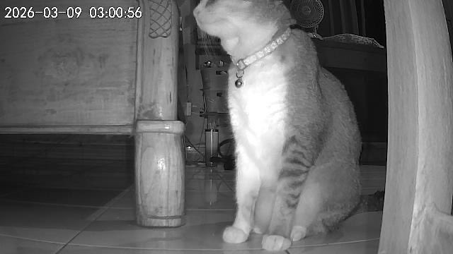 theia 🌼 tweet media