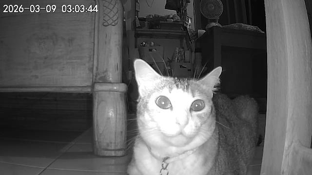 theia 🌼 tweet media