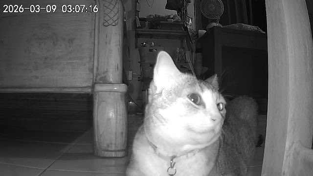 theia 🌼 tweet media