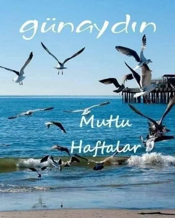 Minm35's tweet image. 🍃🌹GÜNAYDINNNNNN
🌾Yaşamak böyle bir şey,
Kusuru da çok,
Huzuru da,
Hangini görmek istiyorsan,
O pencereden bak hayata...
Gün aydı⚘️
Gönlünüzce, musmuslu bir gün olsun
⚘️🕊🍀🐞🌿🦋🍃🌹🎋🌺🌻
#guenaydin #Günaydın #mutluhaftalar #pazartesi