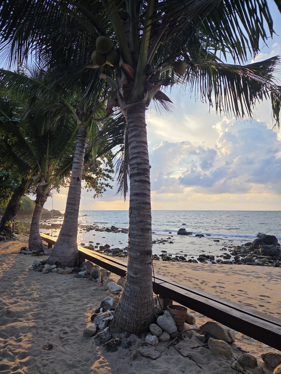 FattyNatsu tweet media