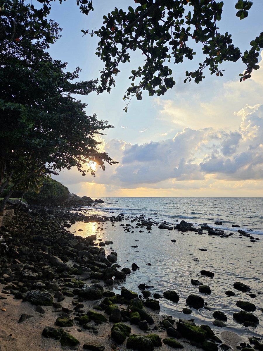 FattyNatsu tweet media