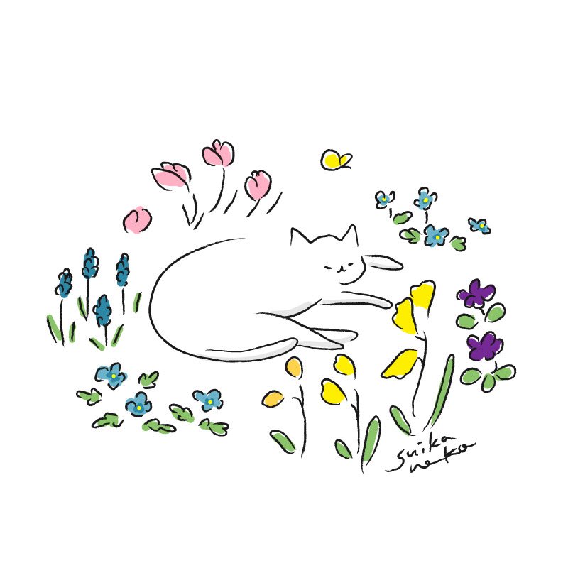 すいかねこ|イラストレーター tweet media