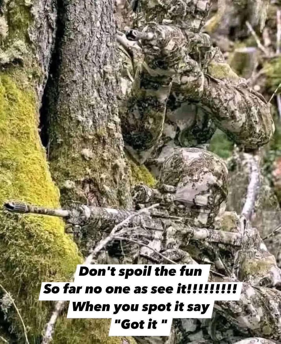 Lewis Miles tweet media