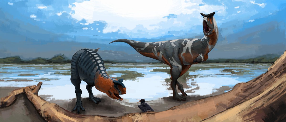 Last of the Artfight paintings!