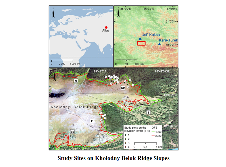 Forest Ecosystems tweet media