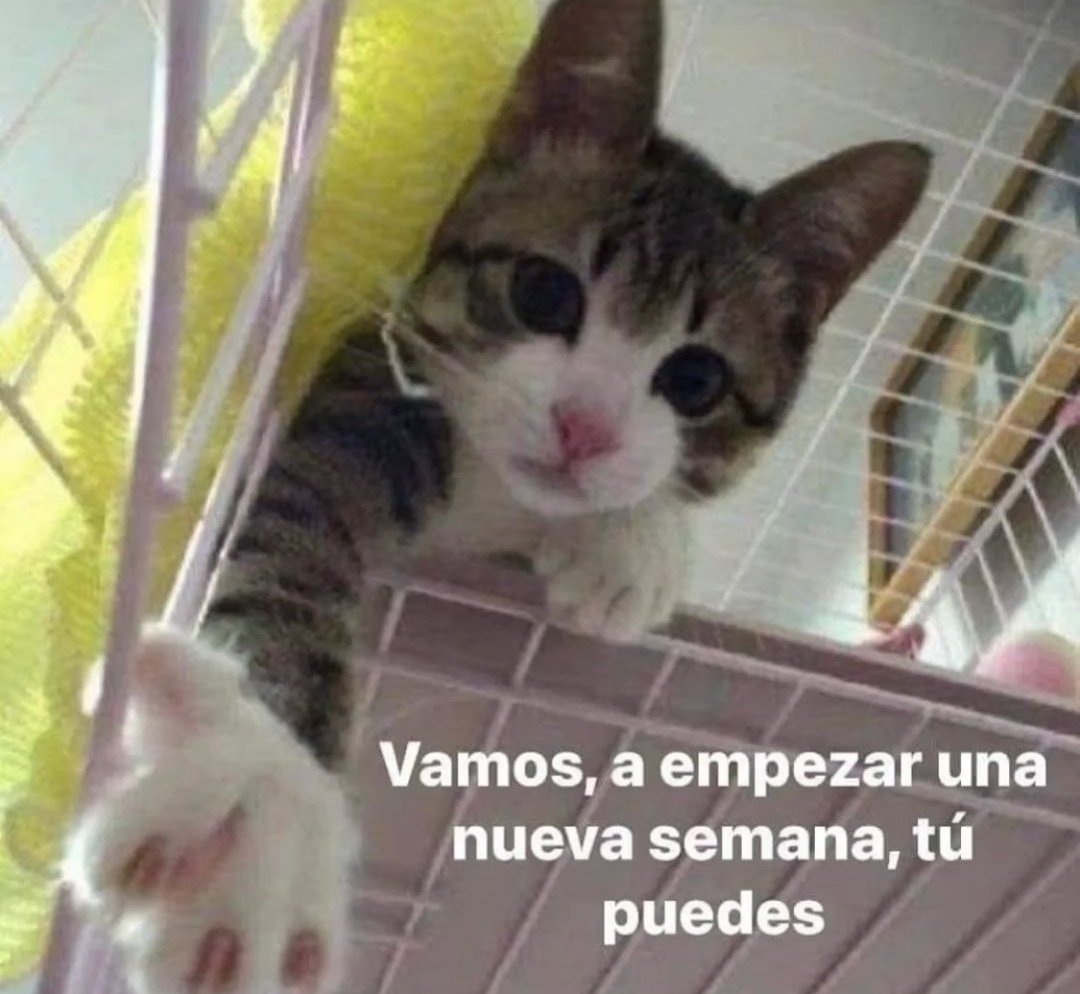 En Júpiter tweet media