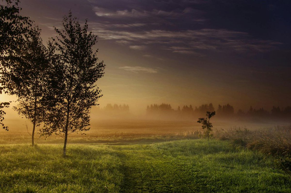 Peacefully_Hub's tweet photo. Good morning, 

Can i get 'GM' https://t.co/16M5pmmAWK