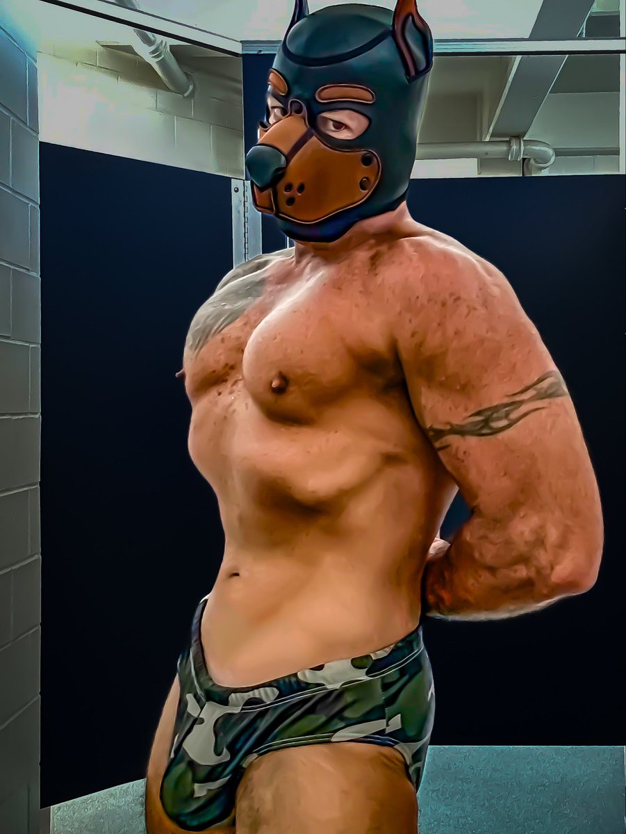 The Dog General tweet media