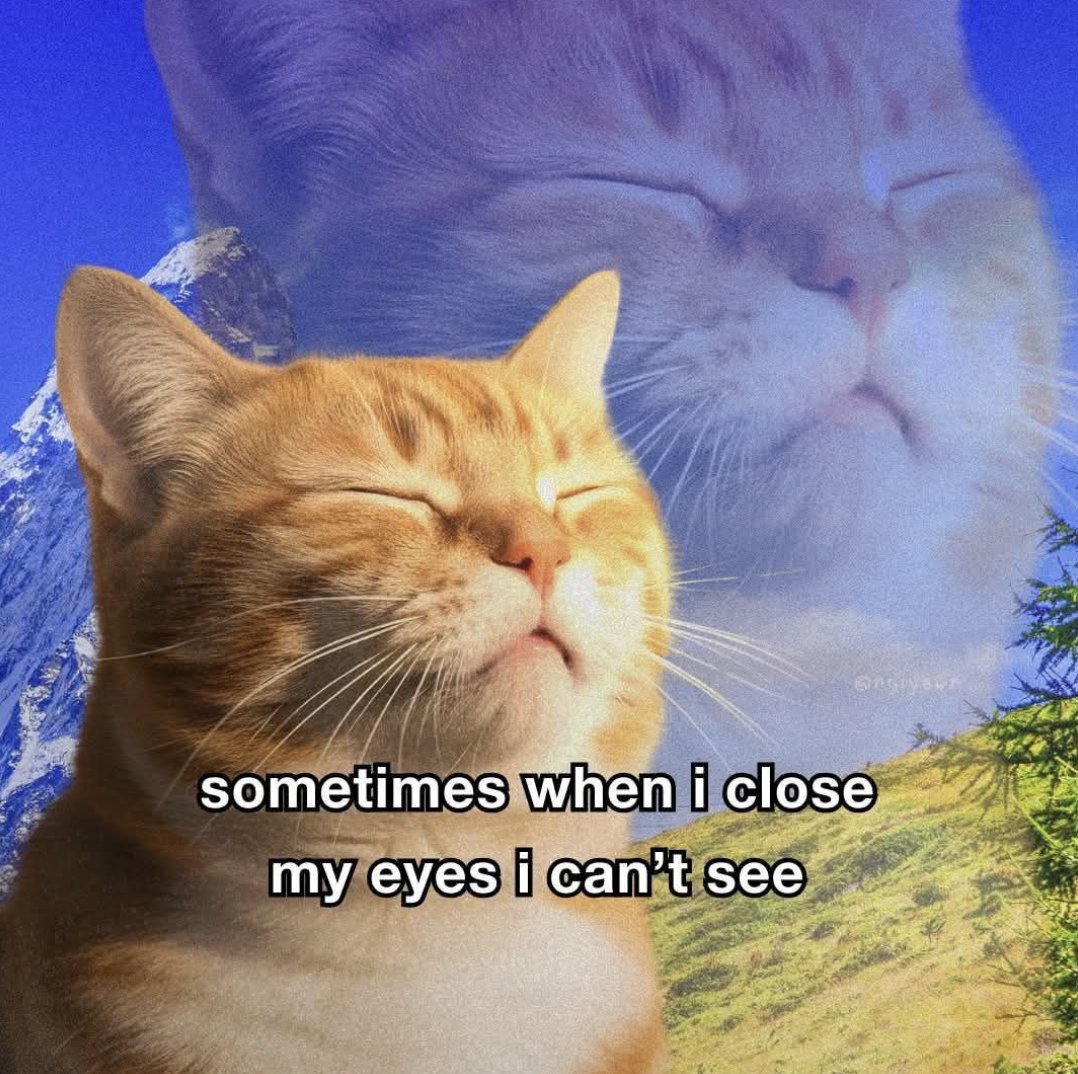 Synexdoche (@amor_fatti) on Twitter photo 