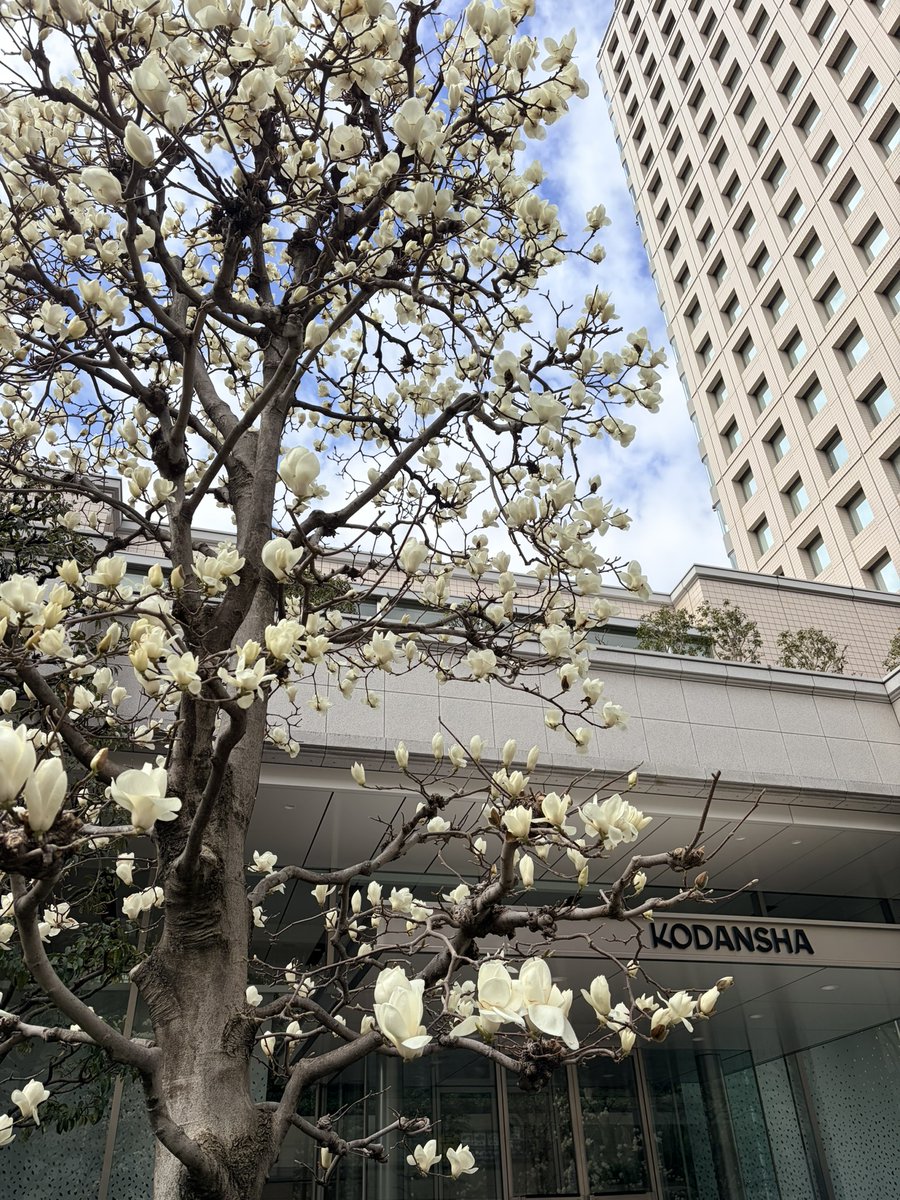 KODANSHA tweet media
