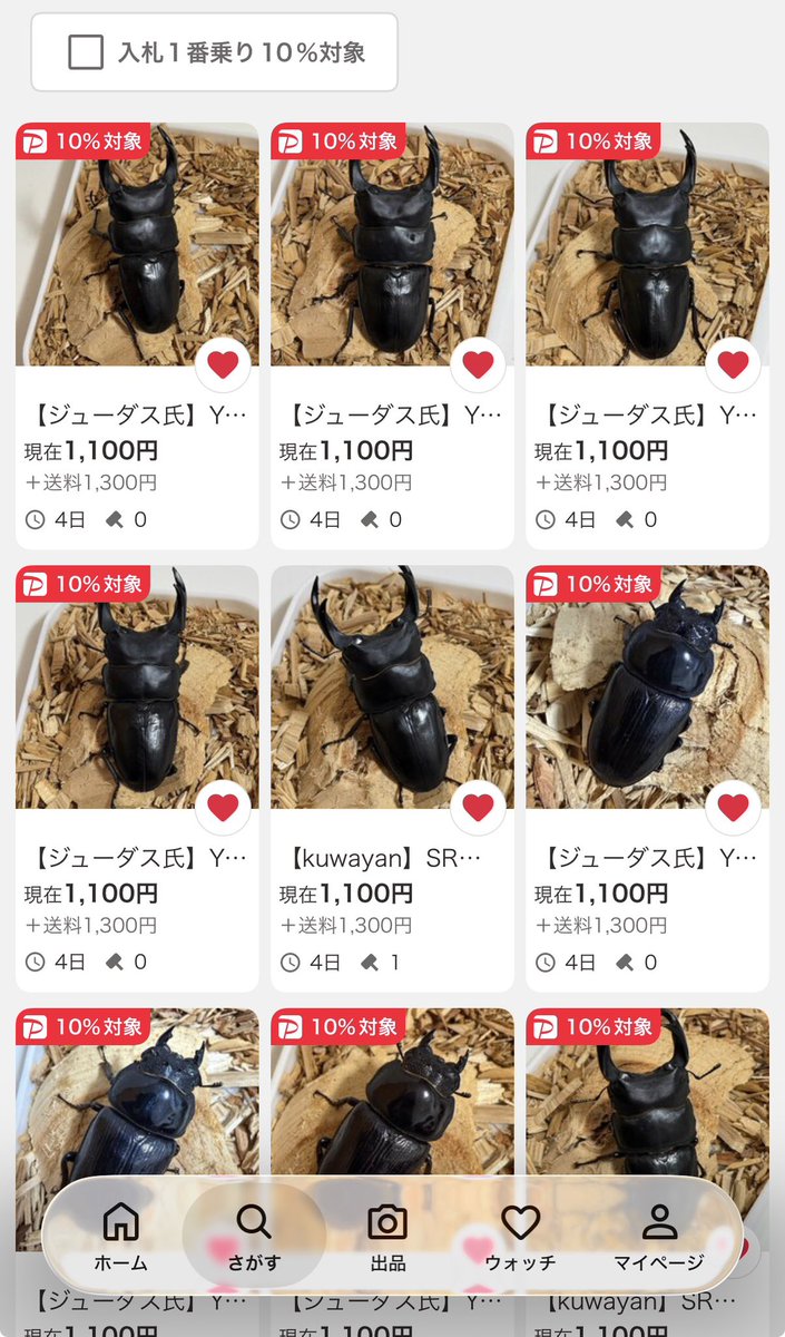 SHOP MUSHIYA / ムシオク! / kuwayan tweet media