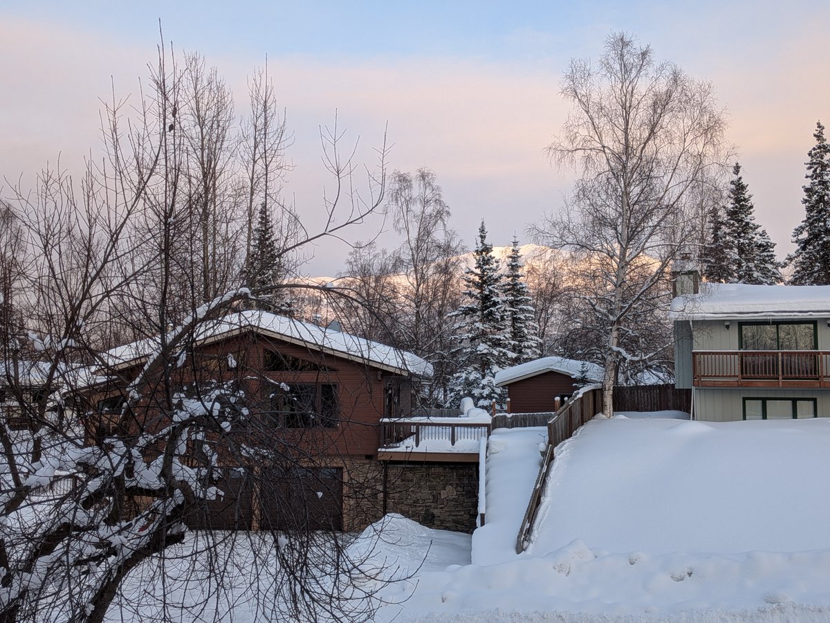 Beth Carpenter tweet media