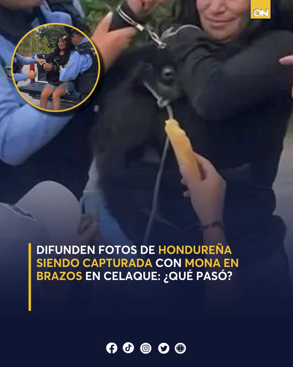 canal11hn's tweet photo. 😳Inicialmente comenzó a circular que la detención era debido a que la mujer había "alimentado al animal"; no obstante, autoridades la requieren por otros motivos.
Esto se sabe👉 https://t.co/OiGzpdfGUn
#Hondureña #Captura #Celaque https://t.co/NG4JZAruHl