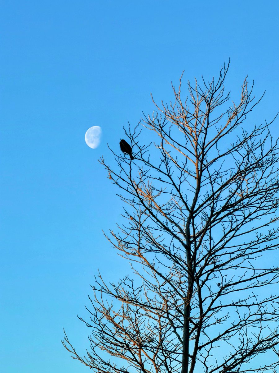 “Let the moon teach you the art of being beautiful and lonely at the same time.”

Show us a moon capture from this month!