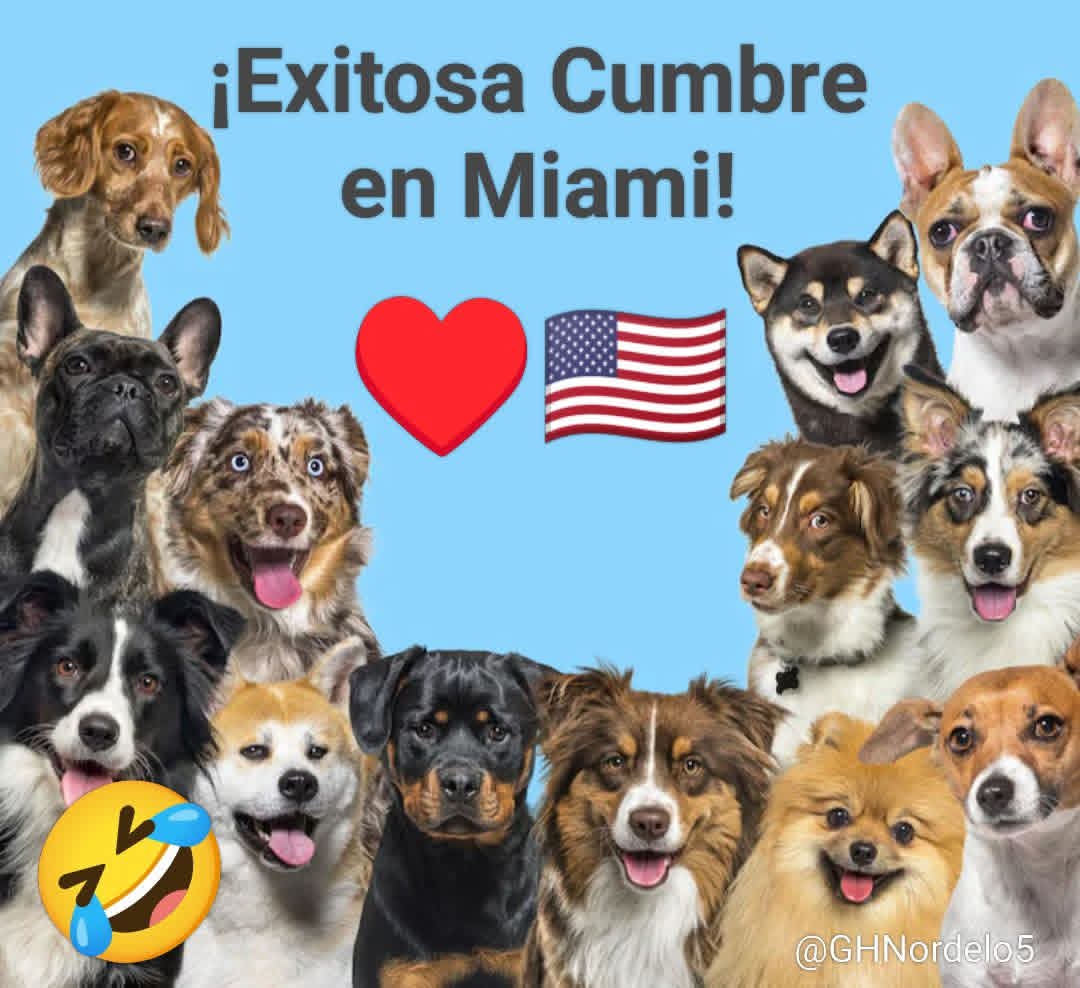 ¡No voy a aprender sus malditos ladridos! -les dijo el amo- y todos movieron la colita.🤣
#Cuba #CDRCuba #CubaNoSeRinde