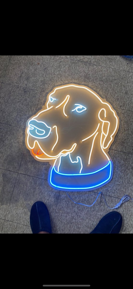 Logan Peña tweet media