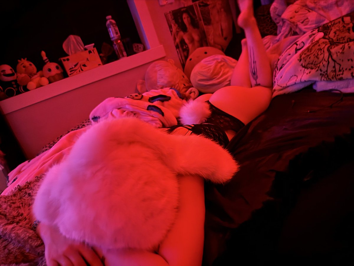 MsElectraa's tweet photo. They say a bounce or two never hurt anyone…
#bunny #furrygirl #gothgirl #assclap #small #puppy #playtime https://t.co/mOdcYJVR1f
