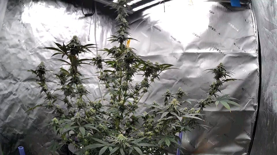 #--R--H😎E--C--# tweet media