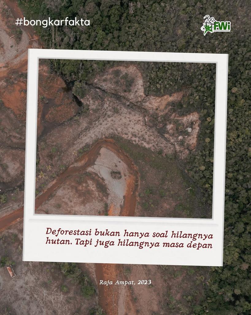 Forest Watch Indonesia tweet media