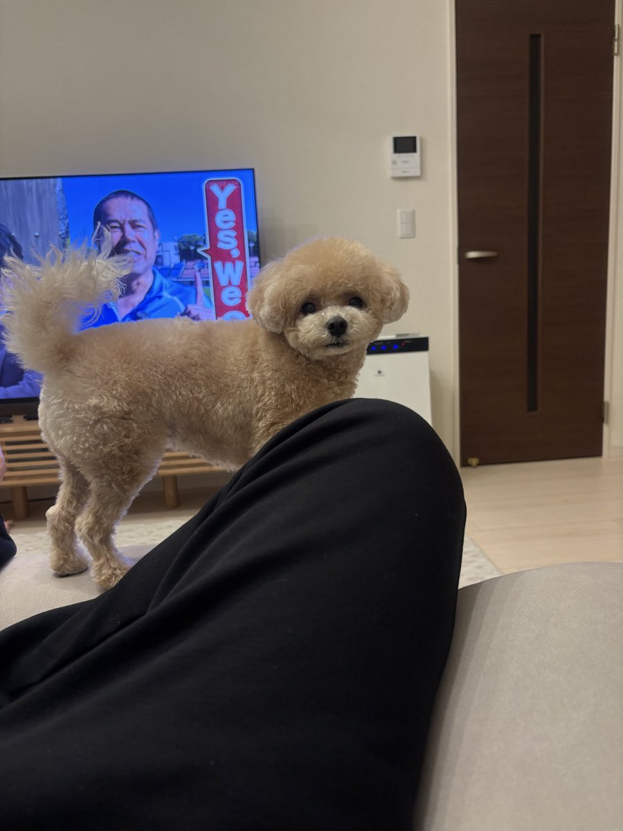 自分の最終目標にしてたアジアカップは予選敗退
ejに切り替えます。
Yes,i can