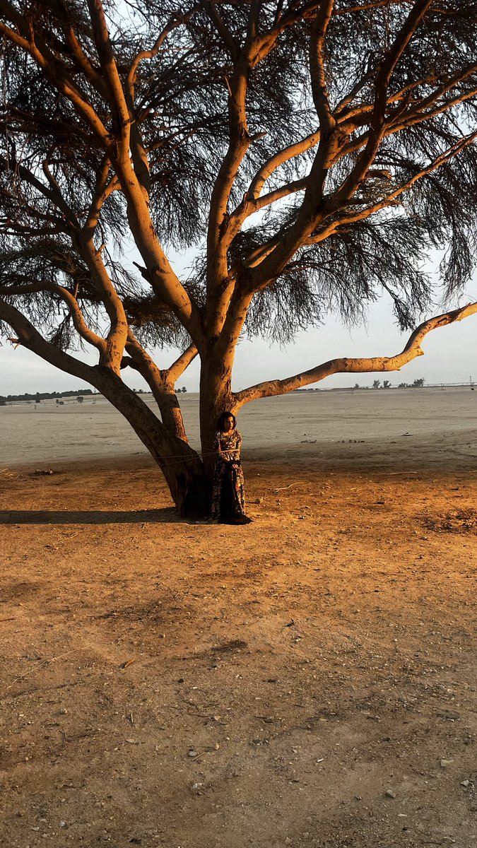 طرفه الشريف 🇸🇦 tweet media