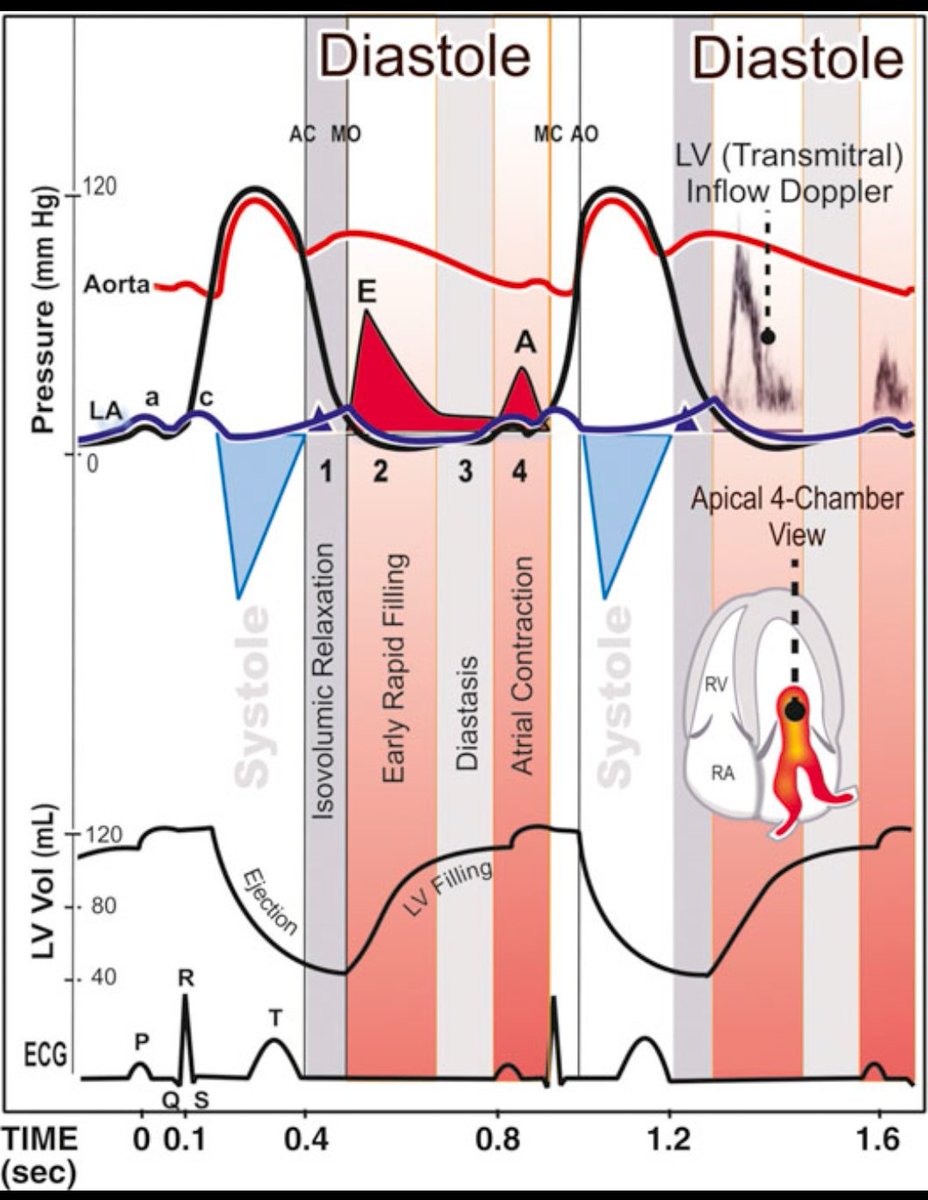 CardiovascularCorner tweet media