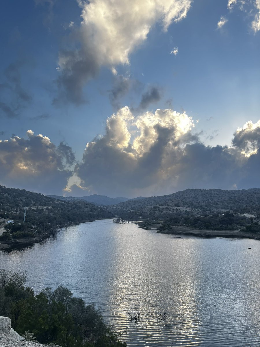 :) tweet media