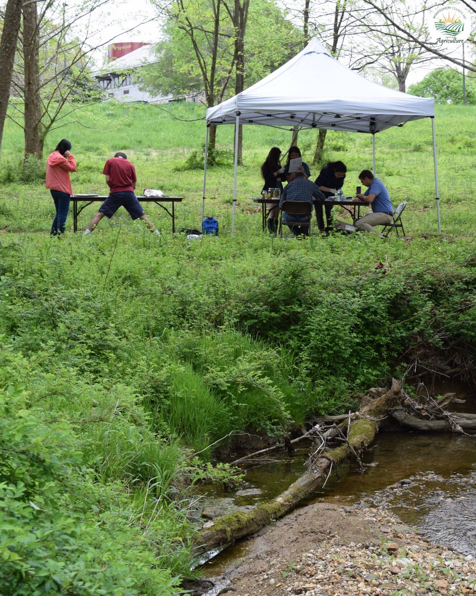 MoCoOAG's tweet image. Outdoor programs help the youth connect with agriculture, nature, and the environment.

#MoCoAg #AgEducation #OutdoorLearning #MarylandAgriculture #VisitLocalFarms