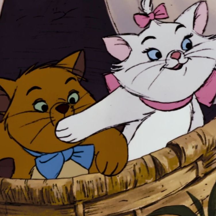 ִ (@njmhae) on Twitter photo 