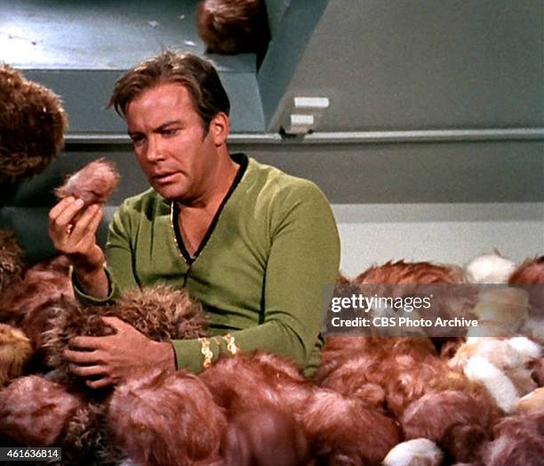 KDNash24's tweet photo. @HannahDCox The trouble with Tribbles...:))😎🥂 https://t.co/3aid39EvAO