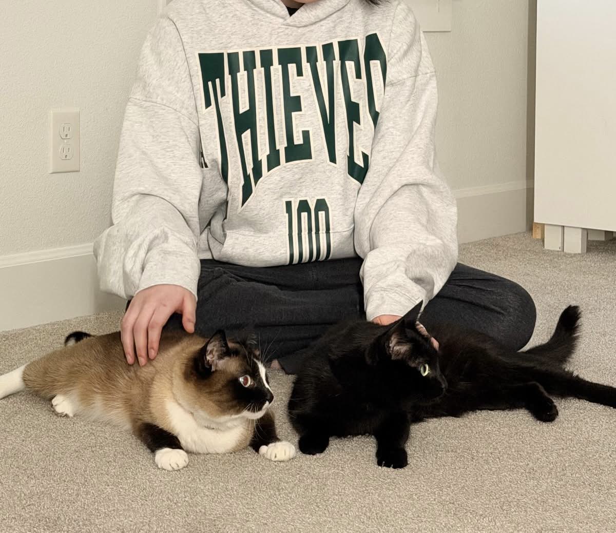 100T terror tweet media