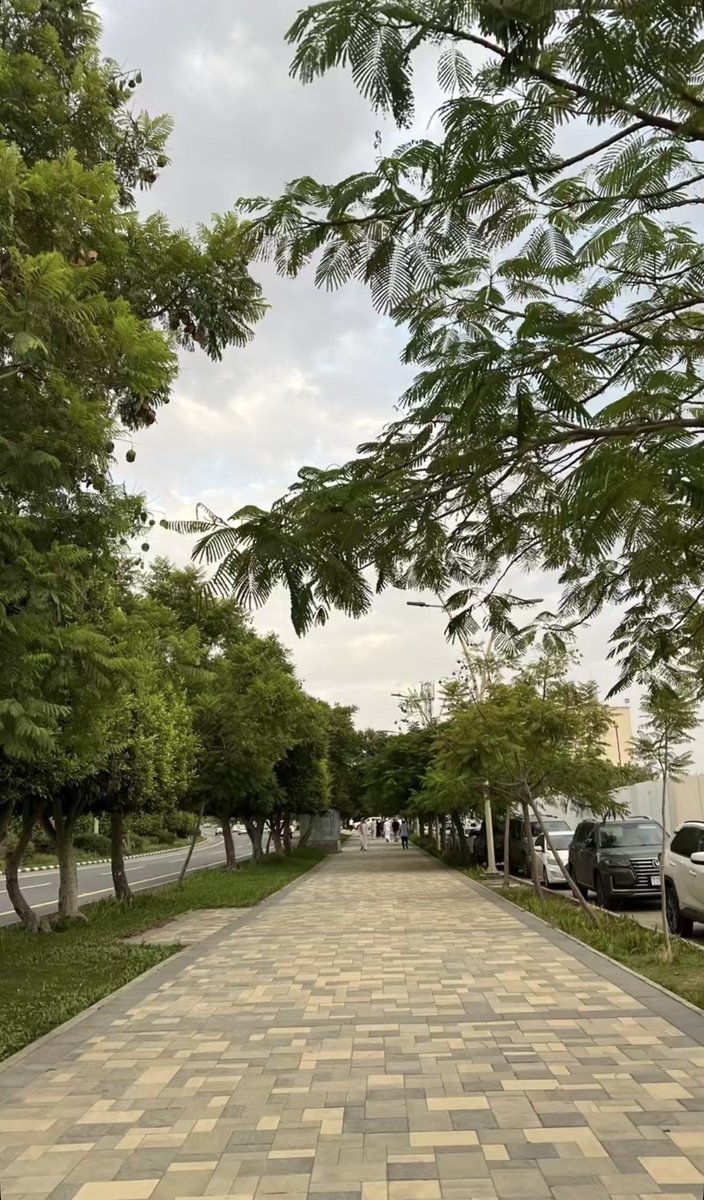 نوف العسيري tweet media