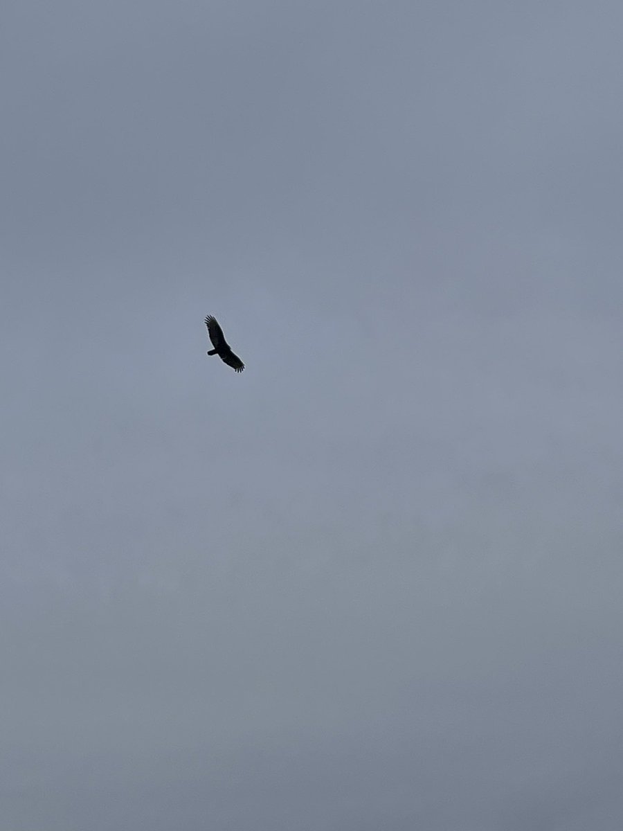 Crzyhorse (@crzyhorse2) on Twitter photo 