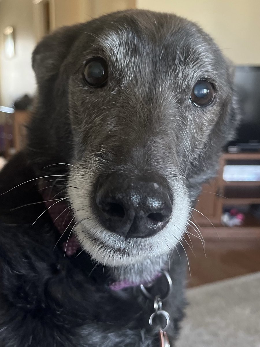 Jill Davis tweet media