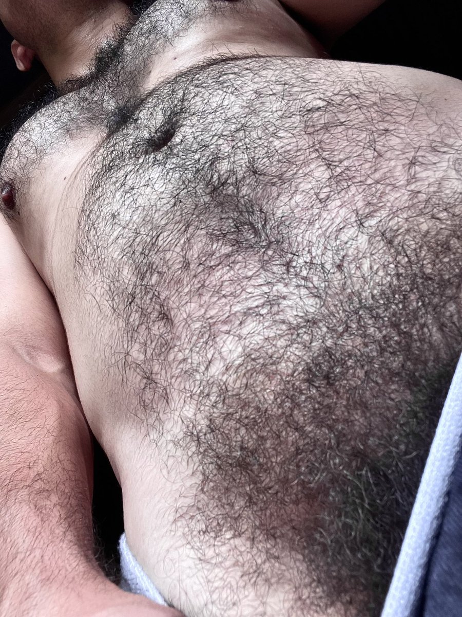 AlfWolfXXX 🐺 tweet media
